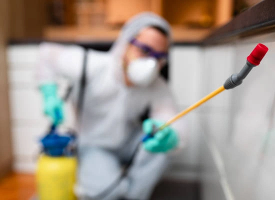 WorkQuote App for Technicians in the Pest Control Service Industry